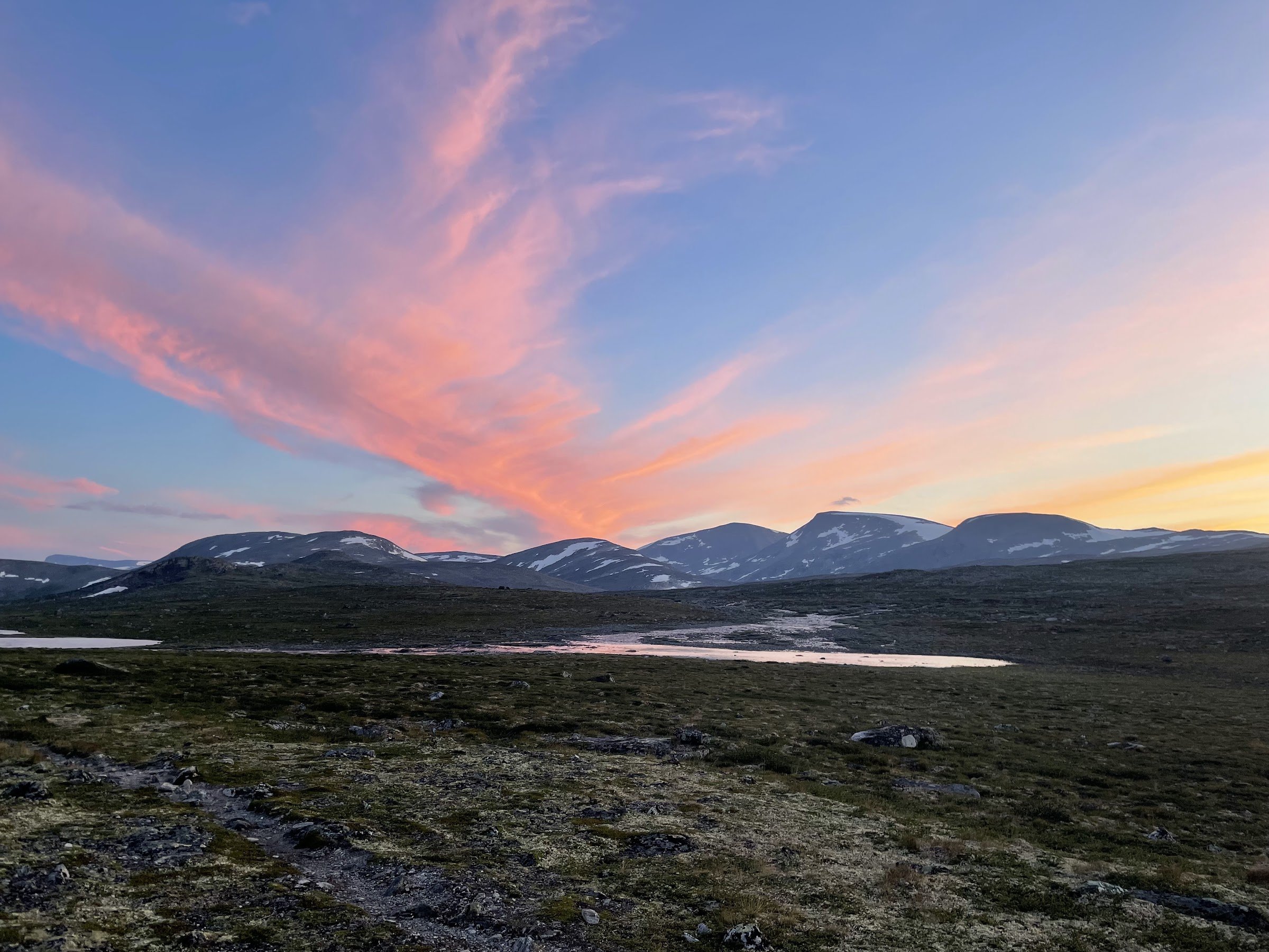 Dovrefjell–Sunndalsfjella National Park